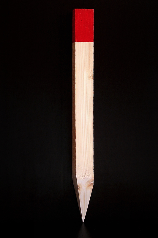 Vermessungspflöcke mit roter Kappe - 25 Stück (Maße: 800 x 40 x 40)